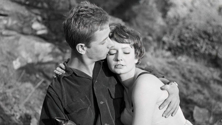 кадр из фильма Złoto