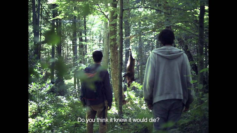 кадр из фильма Tots els camins de Déu