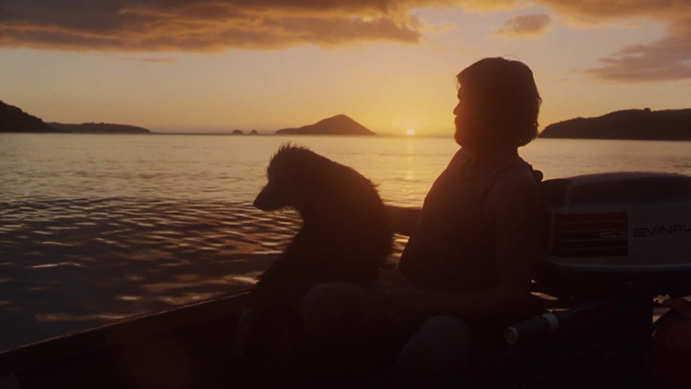 кадр из фильма Sleeping Dogs