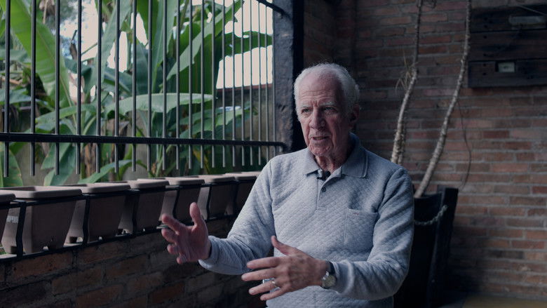 кадр из фильма Silêncio das Asas