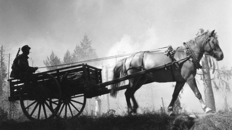 кадр из фильма Неизвестный солдат