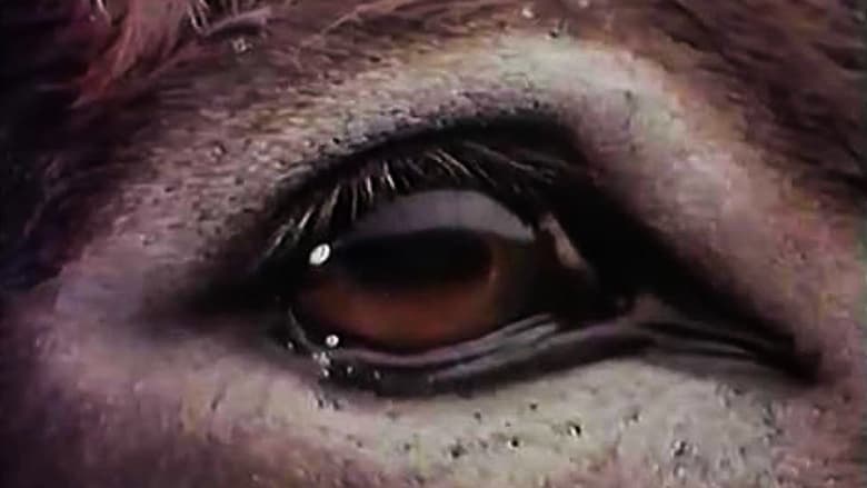 кадр из фильма Oglav