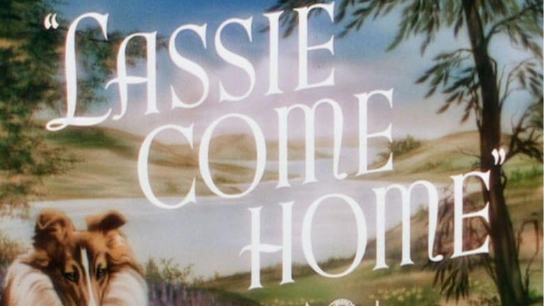 кадр из фильма Лесси возвращается домой