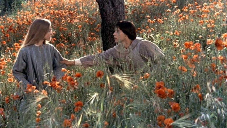 кадр из фильма Брат Солнце, сестра Луна