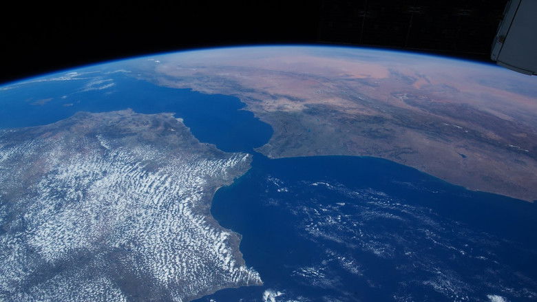 кадр из фильма Прекрасная планета