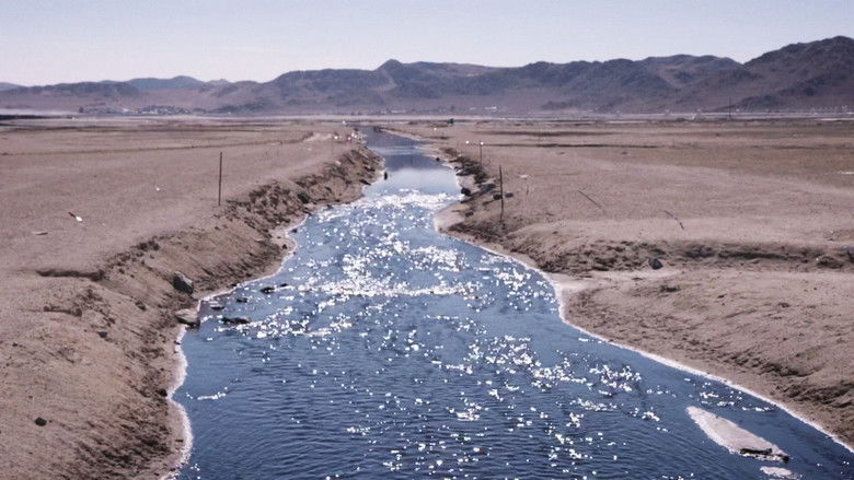 кадр из фильма Фантомные ковбои