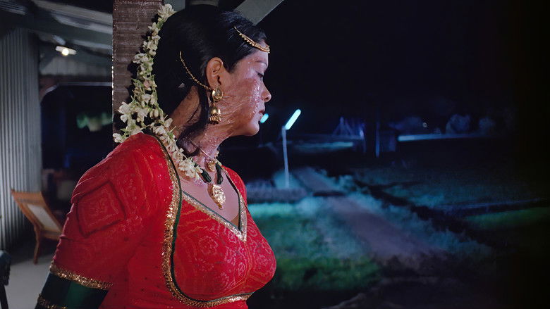 кадр из фильма Истина, любовь и красота