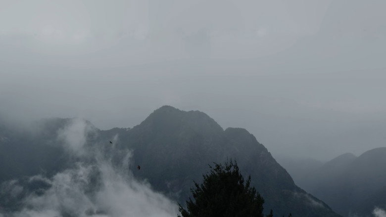 кадр из фильма Los niños sin tierra