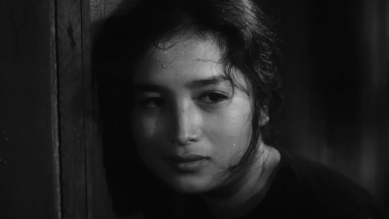 кадр из фильма Женщина с южного берега