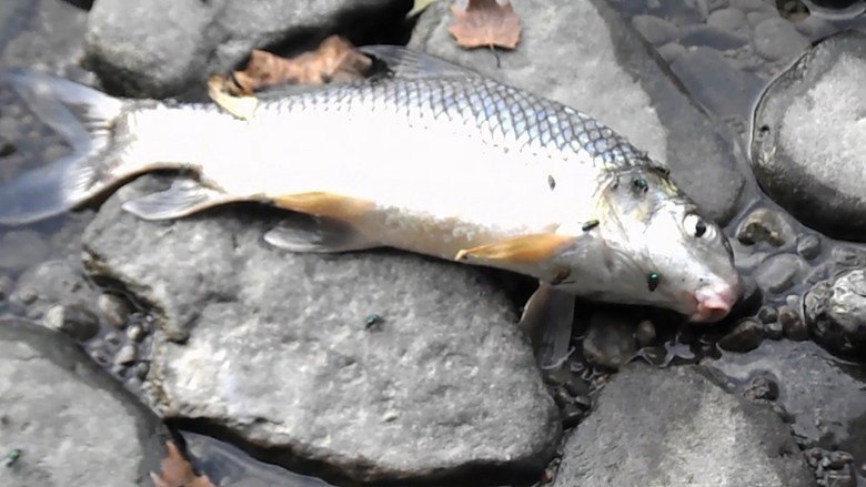 кадр из фильма Elevated