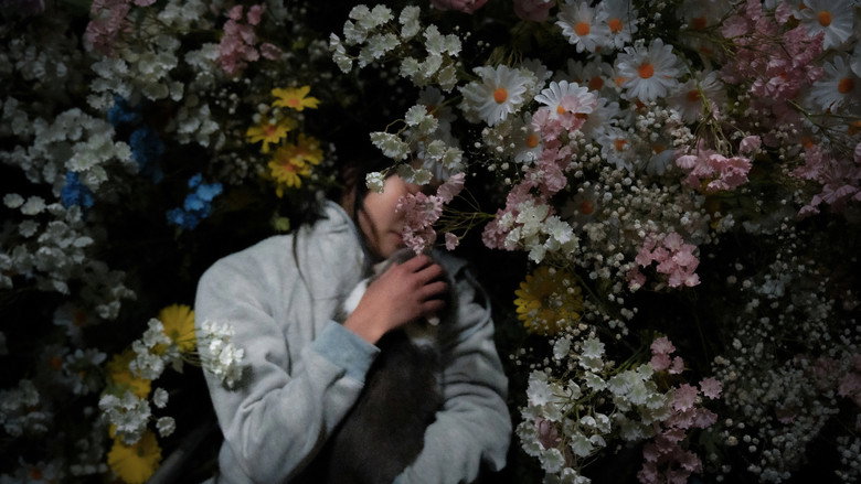 кадр из фильма 伊始之尋