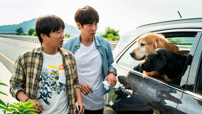 кадр из фильма Мой пёс Руни