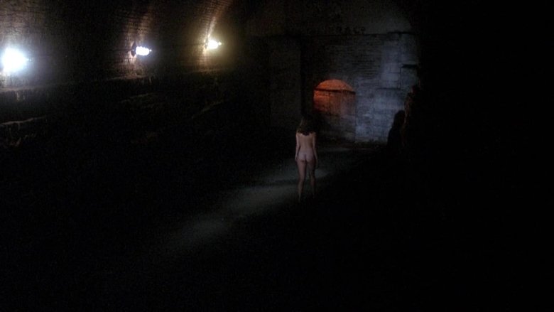 Размножители