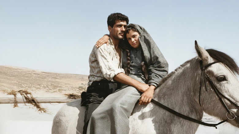 кадр из фильма Beyaz Mendil