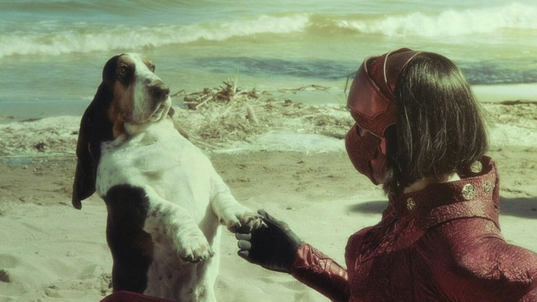 кадр из фильма Войны Гармов: Последний друид