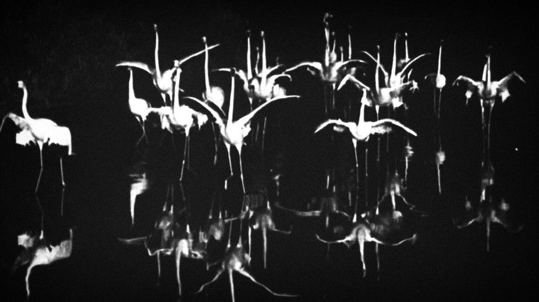 кадр из фильма Meandre