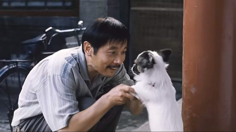 кадр из фильма 卡拉是条狗