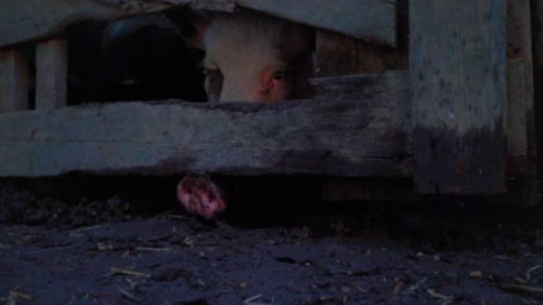 кадр из фильма Daddy's Deadly Darling