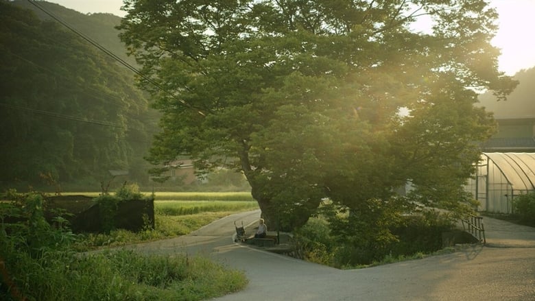 кадр из фильма 여름밤의 소리