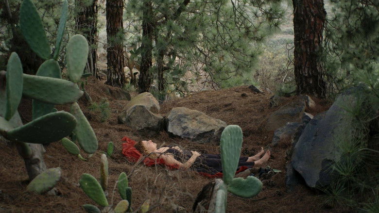 кадр из фильма Las cosas queridas