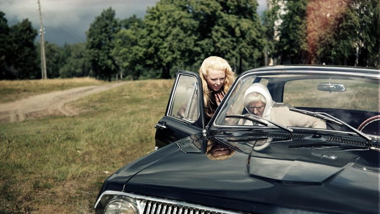 кадр из фильма Подарок одинокой женщине