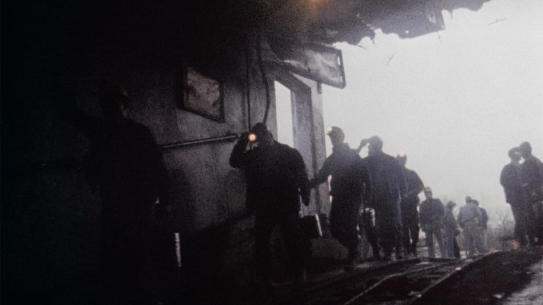 кадр из фильма Округ Харлан, США