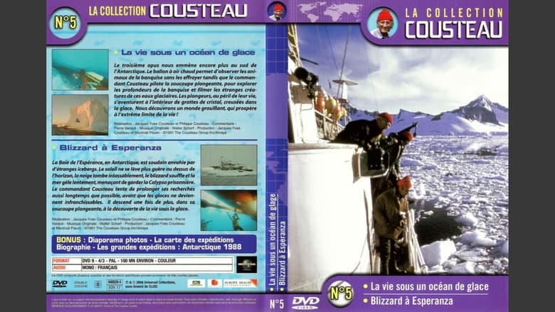 кадр из фильма La collection Cousteau N°5 | La vie sous un océan de glace | Blizzard à Esperanza