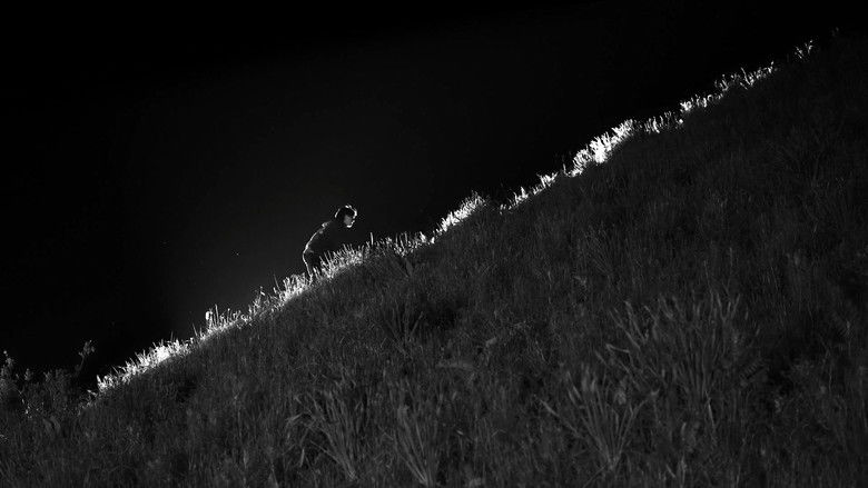 кадр из фильма Қарапайым Адамдар