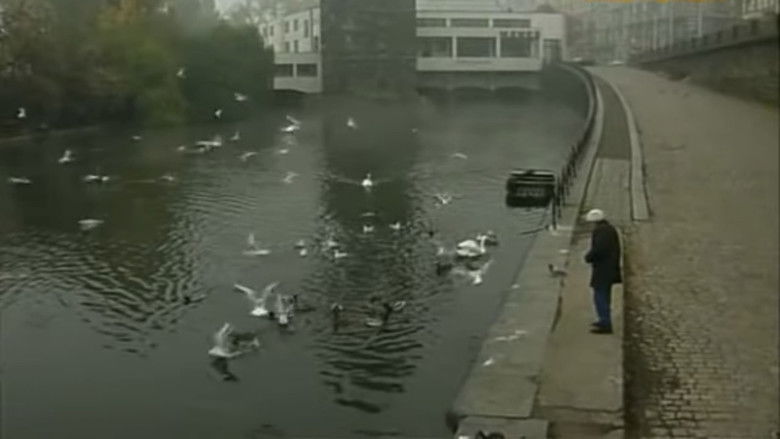 кадр из фильма Dr. Hrabal