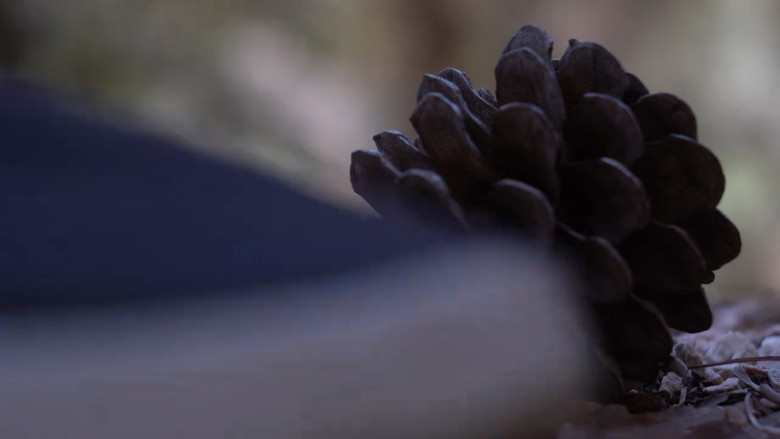 кадр из фильма LOST