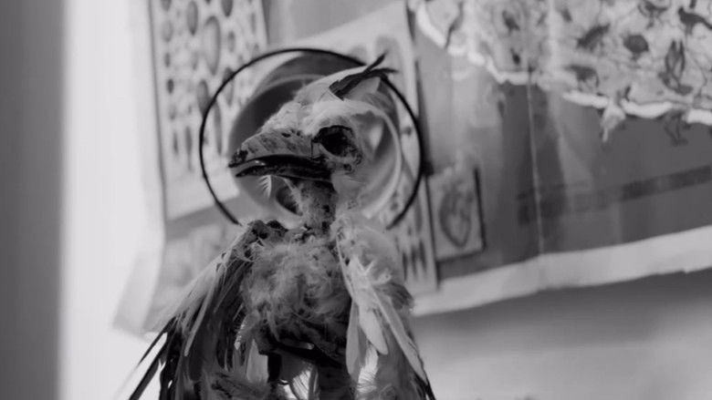 кадр из фильма Las Aves de Prometeo