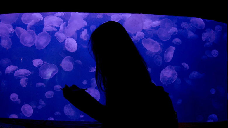 кадр из фильма Marine