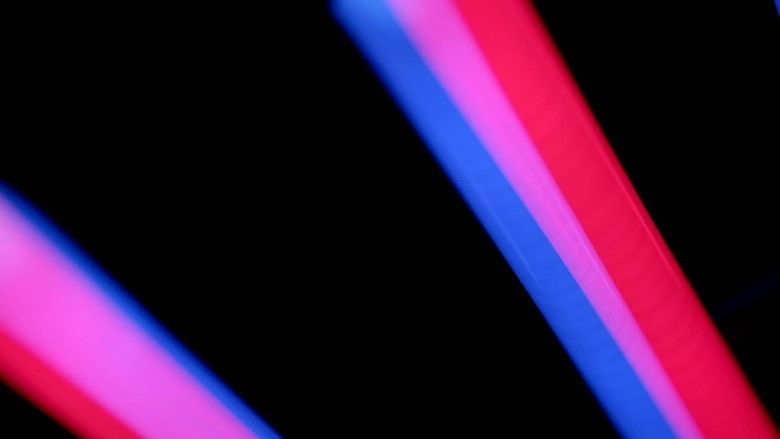 кадр из фильма Photosynthesis