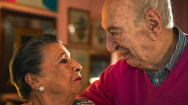 кадр из фильма Vera & Giuliano