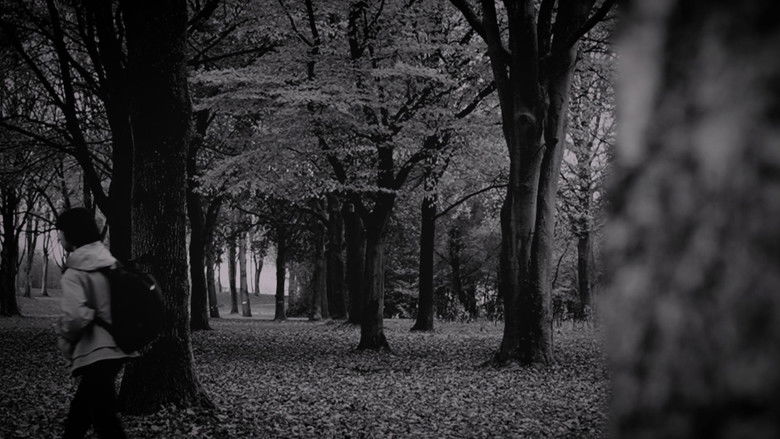 кадр из фильма the forest of great mystery and emptiness