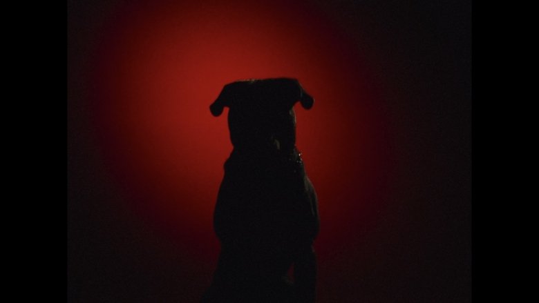 кадр из фильма Mauled By a Dog