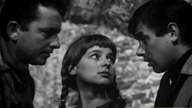 кадр из фильма Zwariowana noc