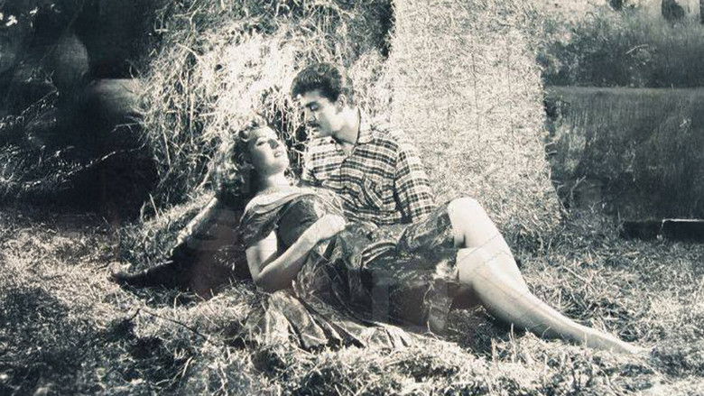 кадр из фильма Tilki Leman