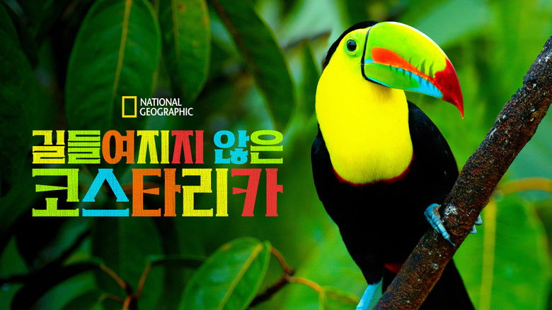 кадр из фильма Untamed Costa Rica with Filipe DeAndrade