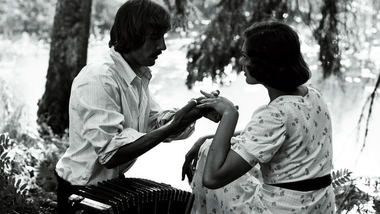 кадр из фильма Родник в лесу