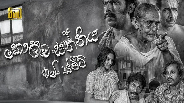 කොළඹ සන්නිය: කමිං ස්වීට්