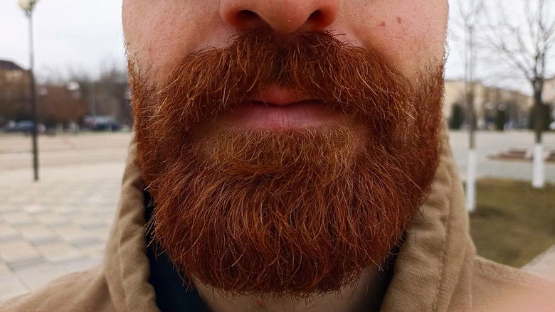 Краткая история усов Чечни