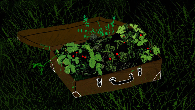 кадр из фильма Потерянный сад