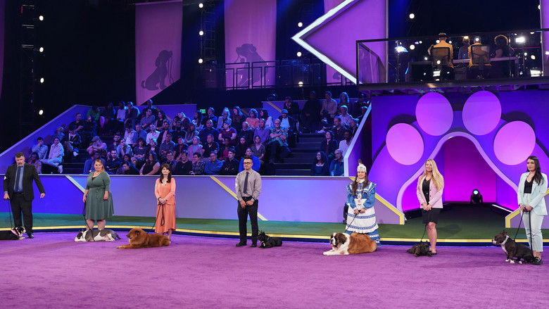 кадр из фильма 2022 American Rescue Dog Show