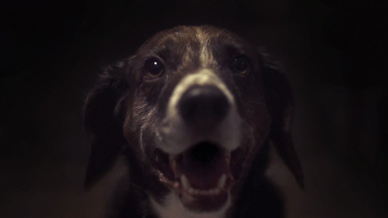 кадр из фильма The Carnivores