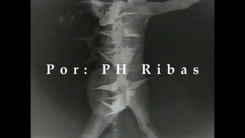 кадр из фильма HAIKAI: HAIGAY