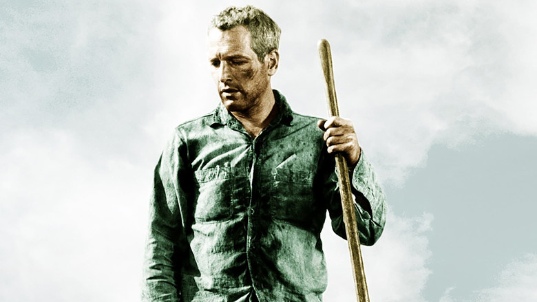 кадр из фильма Хладнокровный Люк