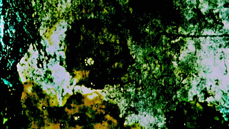 кадр из фильма Study in Color and Black and White