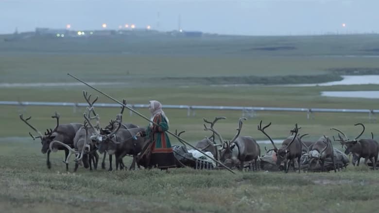 кадр из фильма Gaz russe, la dernière route des Nenets