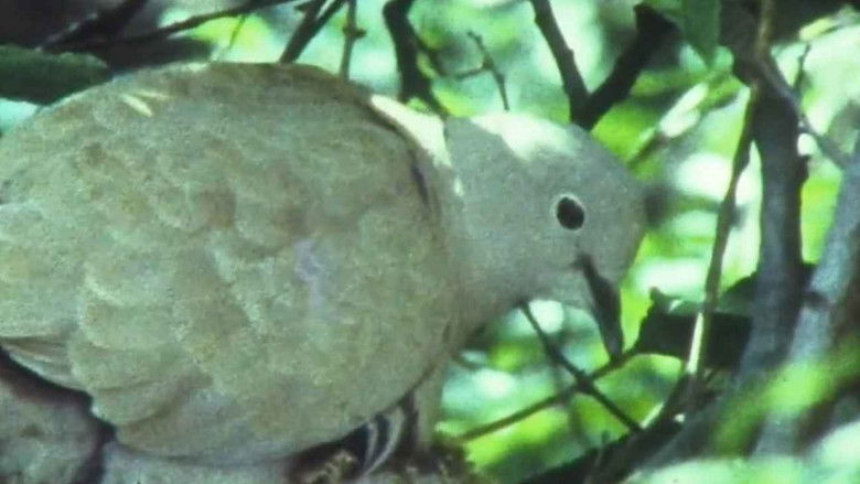 кадр из фильма Мої вихідні